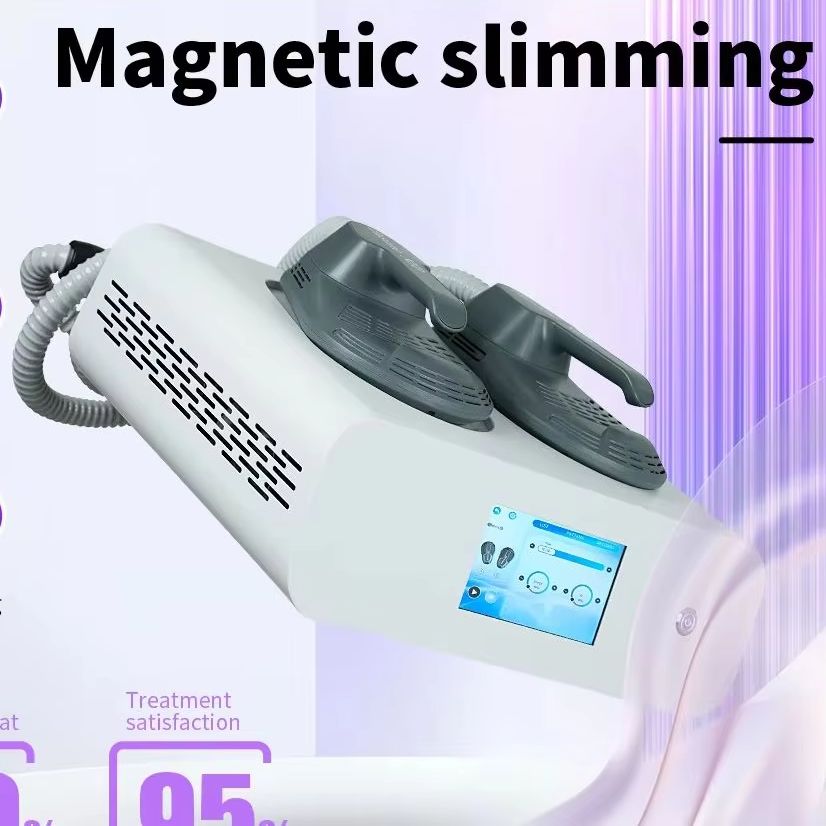 Slimming Weight Lose Electroma - đánh giá và giá Ems Muscle Stimulator Body