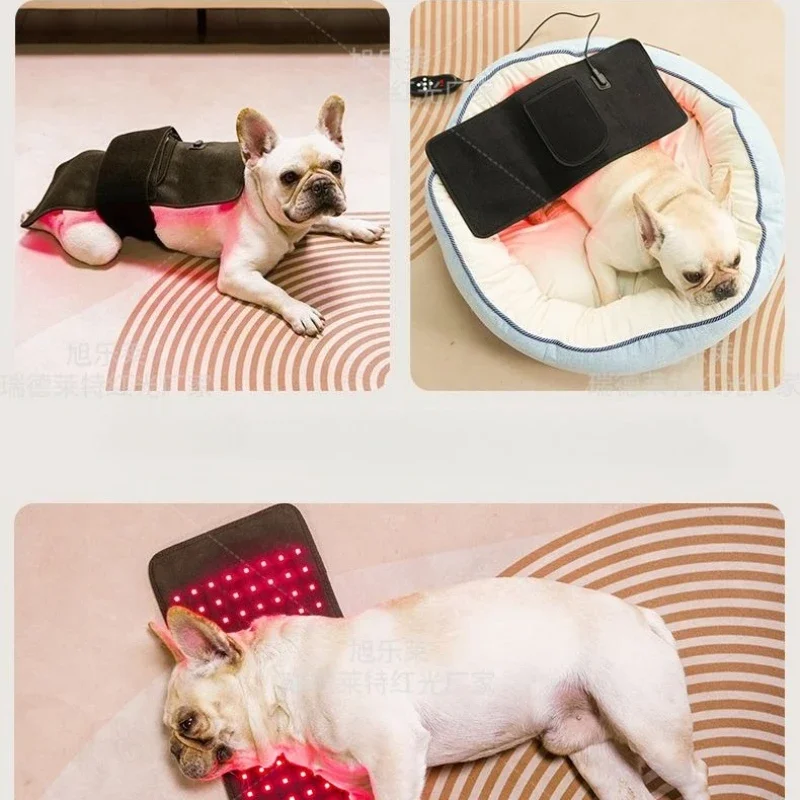 Veterinary Red Light Therapy B - đánh giá và giá Red Light Therapy Belt